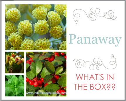 What is Panaway?