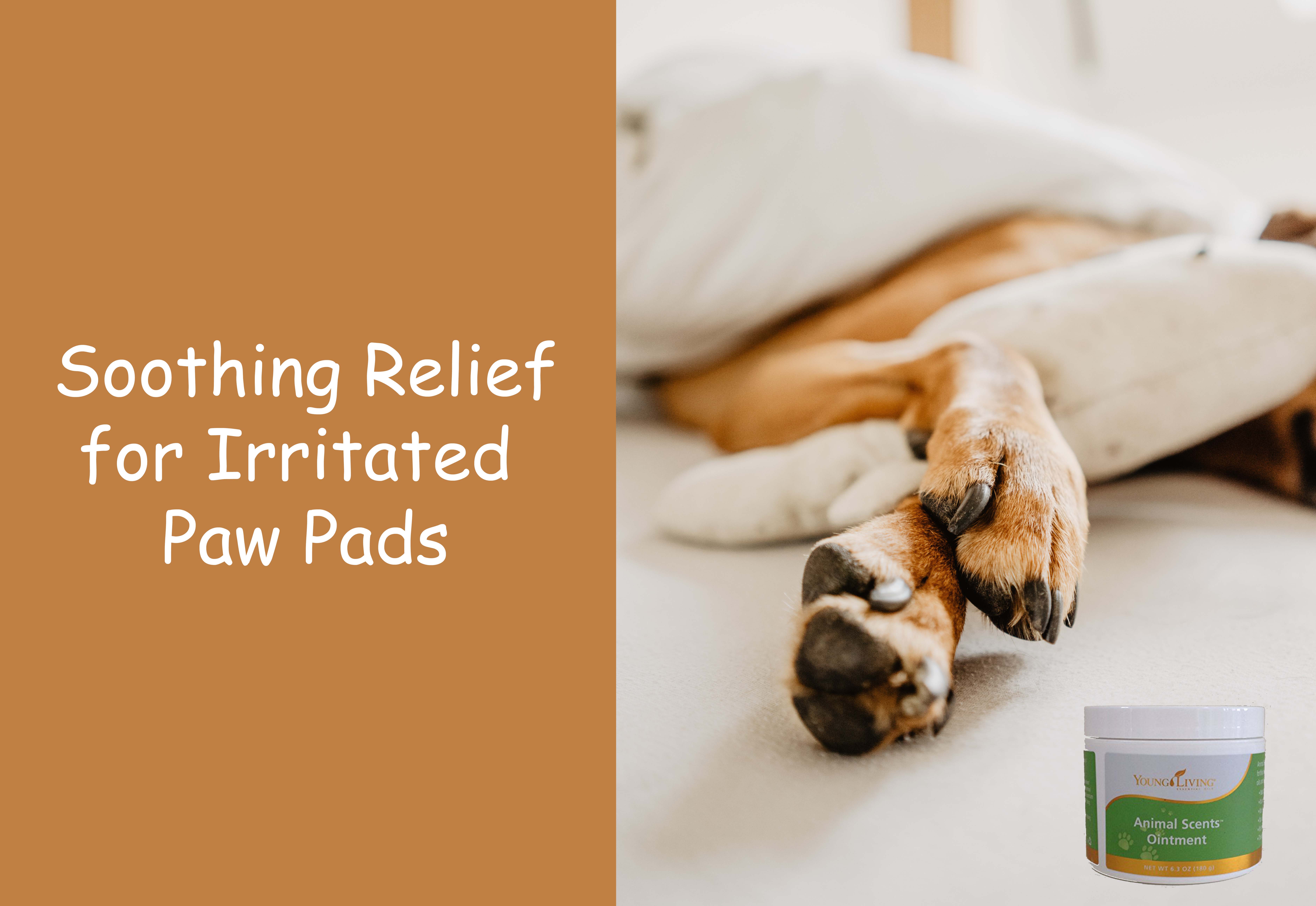 Paw Pad Protection – Animal Scents Ointment