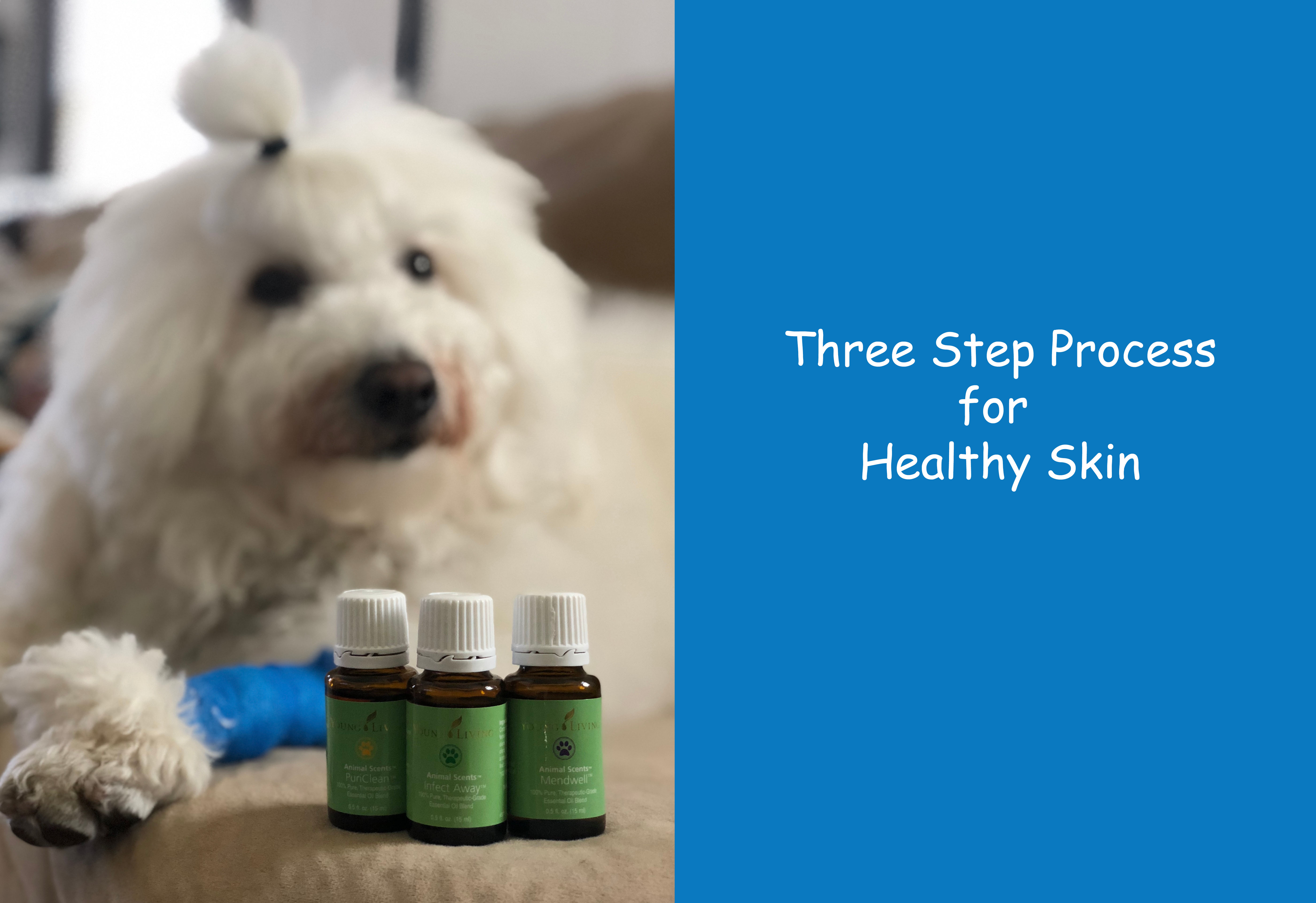 Healthy Skin For Your Pet – Stinson is Comfortable in His Own Skin