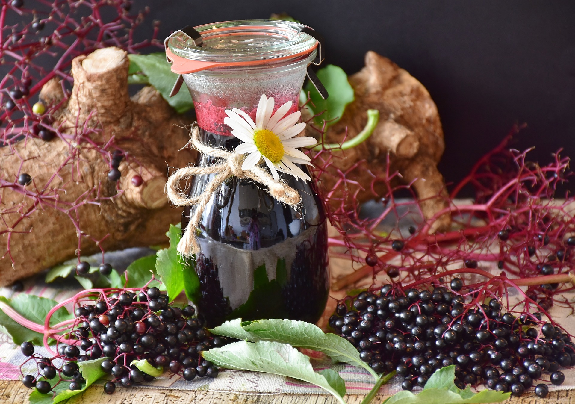 Homemade Elderberry Syrup and Immune Support